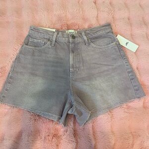 NWT Urban Outfitters High Waist Purple Shorts